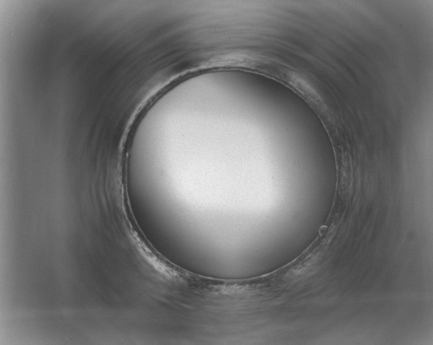 X0000062620800200512281528