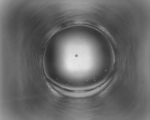 X0000062620801200512281528