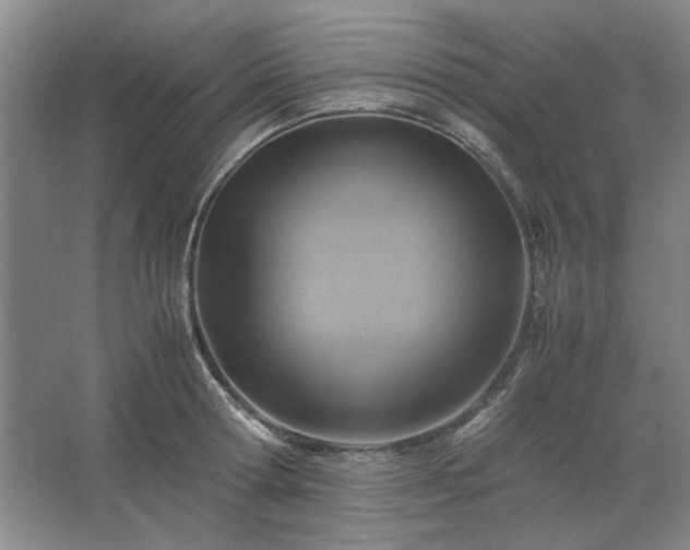 X0000062620802200512281528