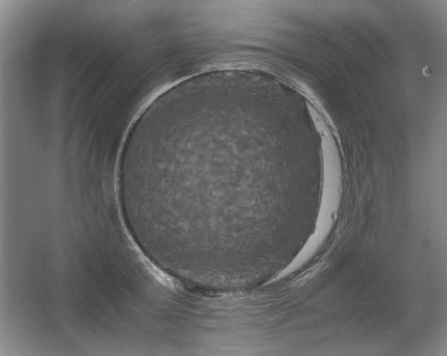 X0000062620803200512281528