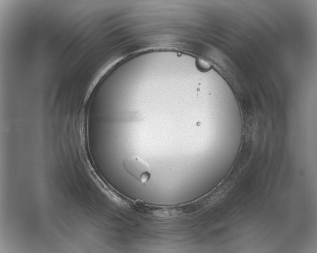 X0000062620804200512281528