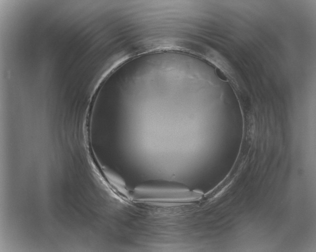 X0000062620806200512281528