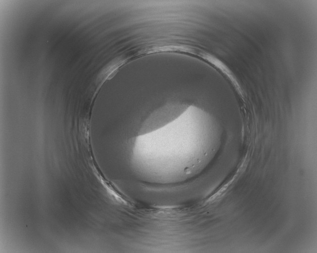 X0000062620809200512281528