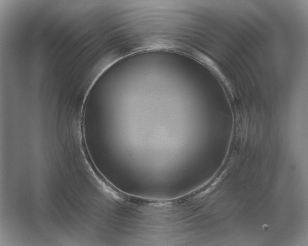 X0000062620810200512281528