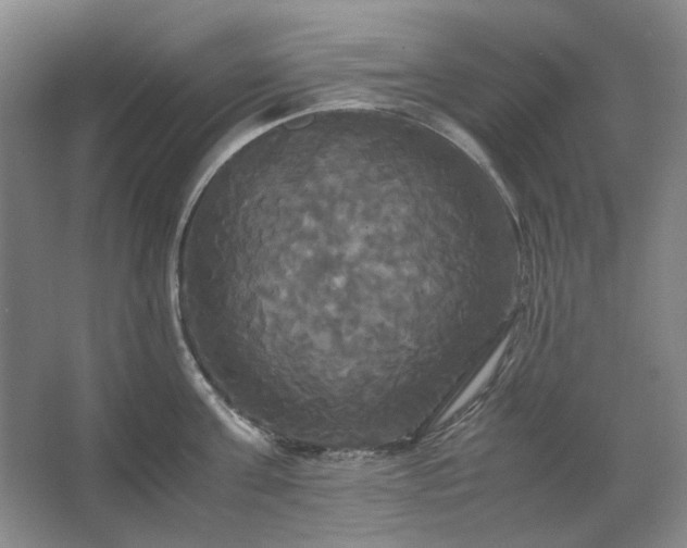 X0000062620811200512281528