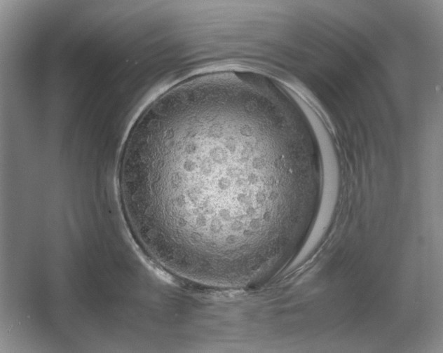 X0000062620813200512281528