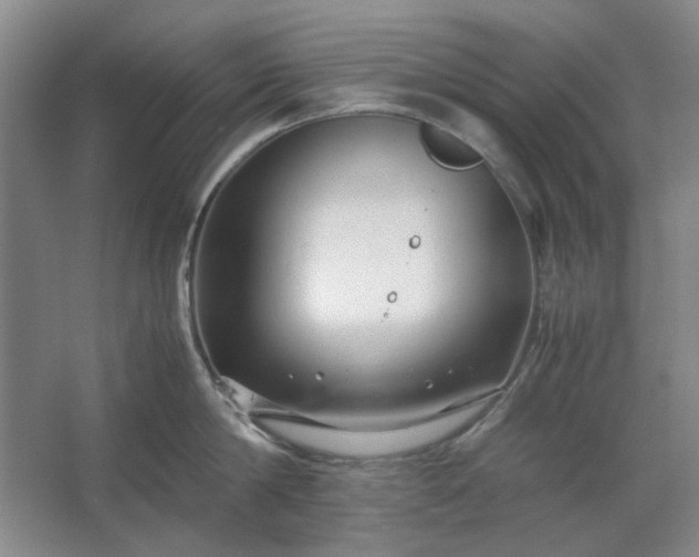 X0000062620814200512281528