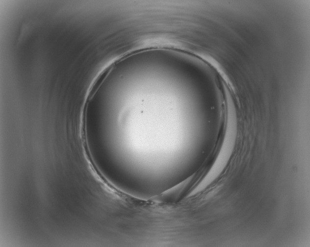 X0000062620815200512281528