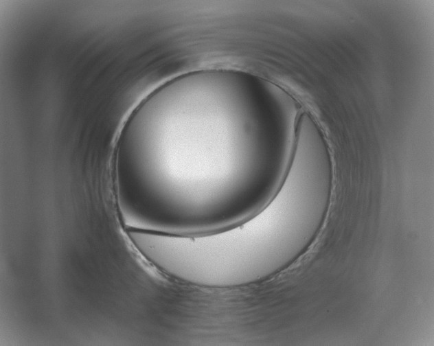 X0000062620816200512281528