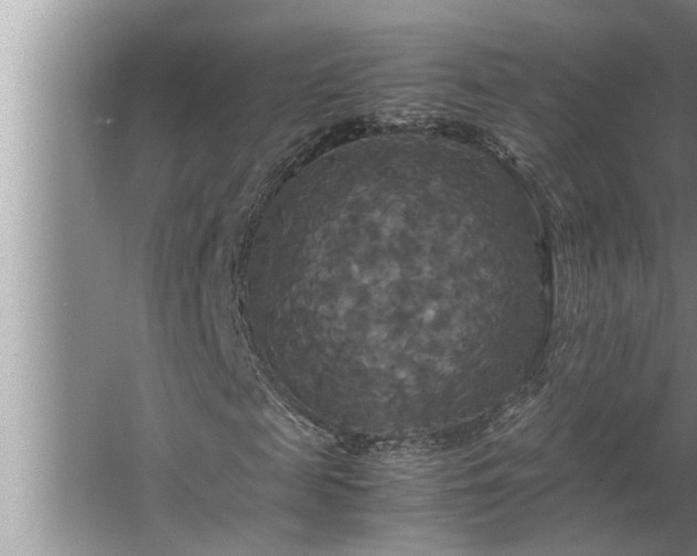 X0000062620817200512281527