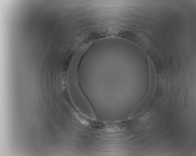 X0000062620818200512281527