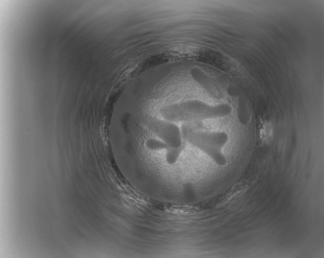 X0000062620819200512281527