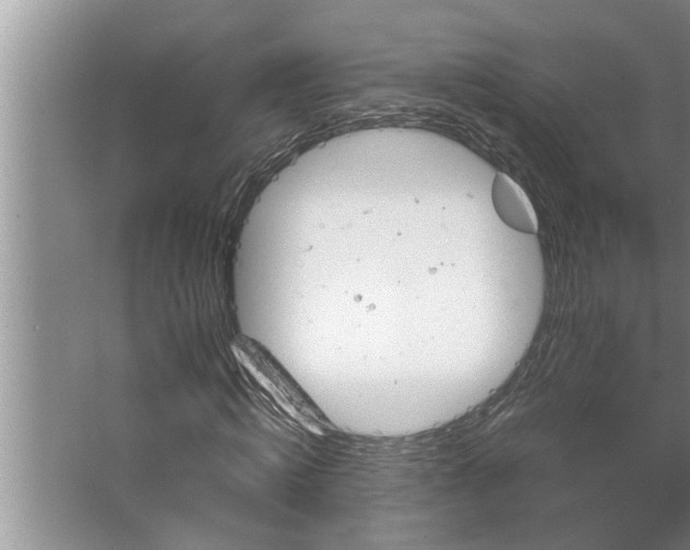 X0000062620820200512281527