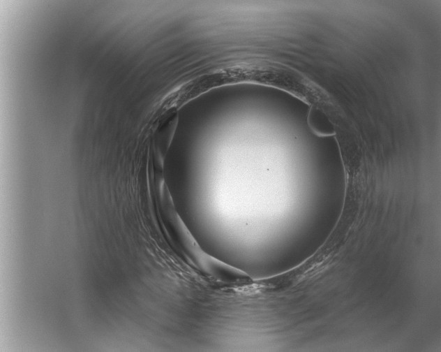 X0000062620822200512281527