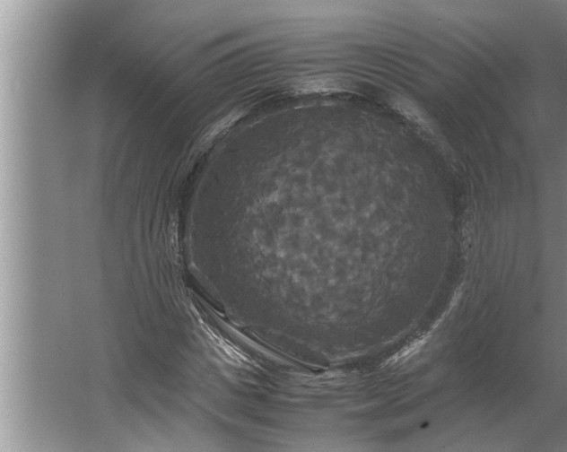 X0000062620825200512281527