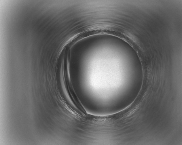 X0000062620826200512281527