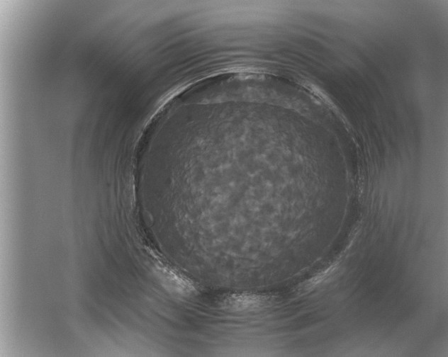 X0000062620829200512281527