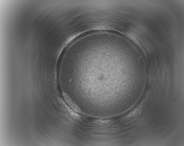 X0000062620831200512281527