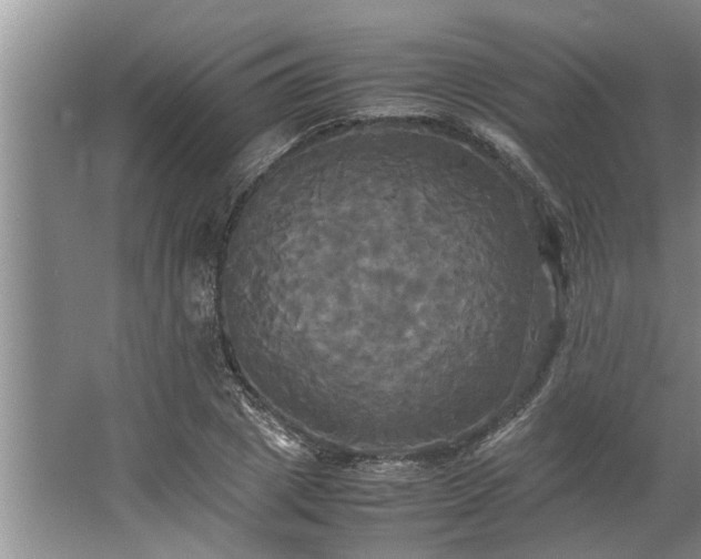 X0000062620833200512281527