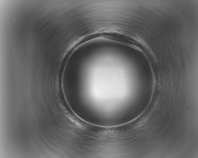 X0000062620834200512281527