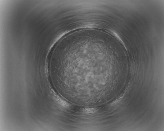 X0000062620835200512281527