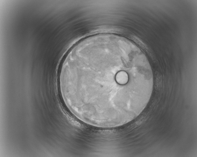 X0000062620836200512281527