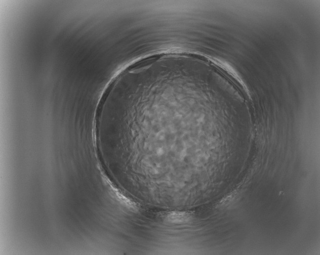 X0000062620839200512281527