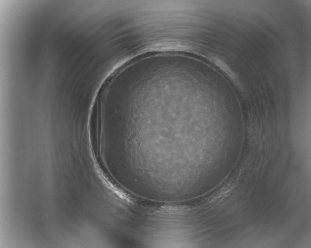 X0000062620840200512281527