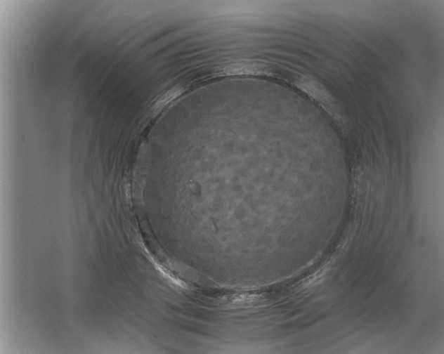 X0000062620841200512281527