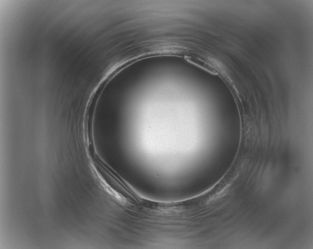 X0000062620843200512281527