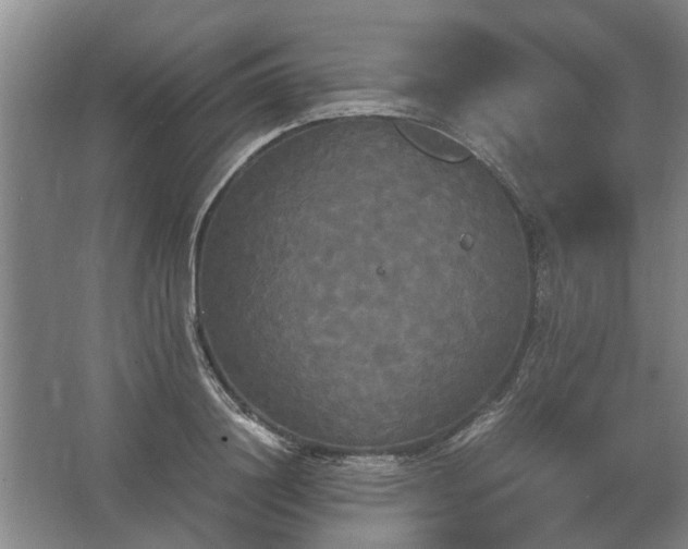 X0000062620844200512281527