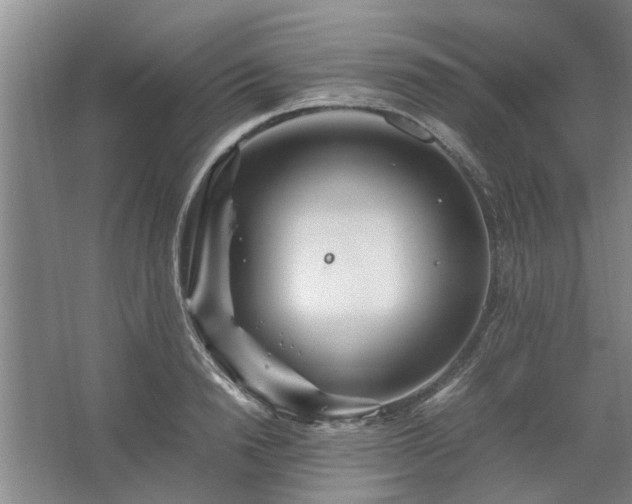 X0000062620846200512281527