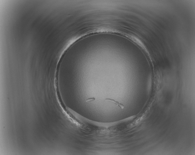 X0000062620847200512281527