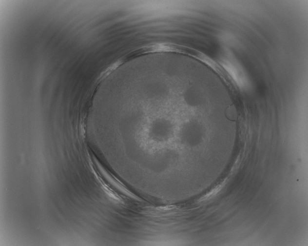 X0000062620857200512281527