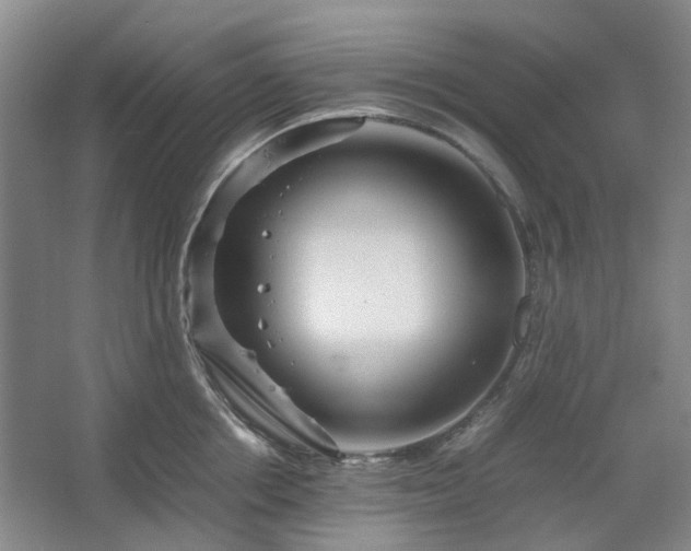 X0000062620858200512281527