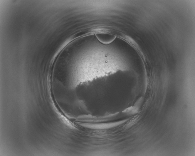 X0000062620859200512281527