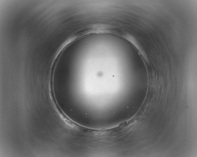 X0000062620861200512281528