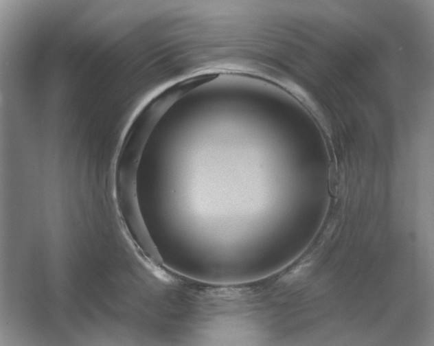 X0000062620862200512281528