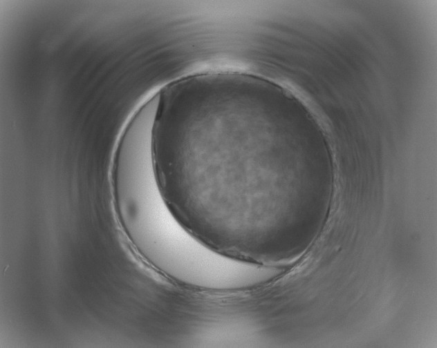 X0000062620864200512281528