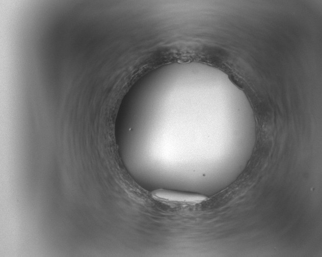 X0000062620865200512281527