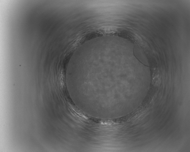 X0000062620866200512281527