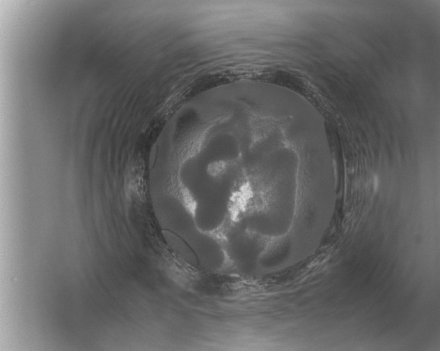 X0000062620867200512281527