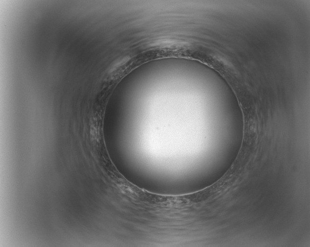 X0000062620869200512281527