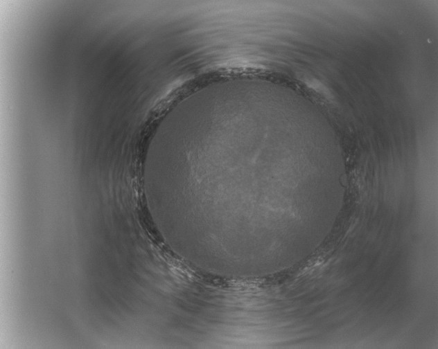 X0000062620870200512281527