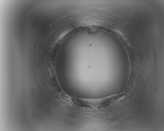 X0000062620871200512281527