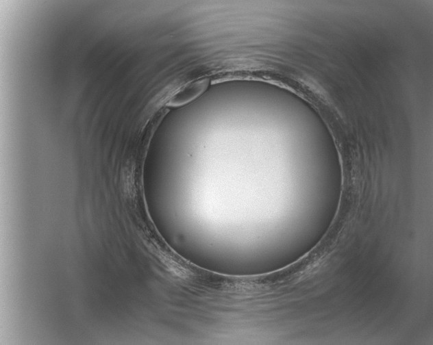 X0000062620873200512281527