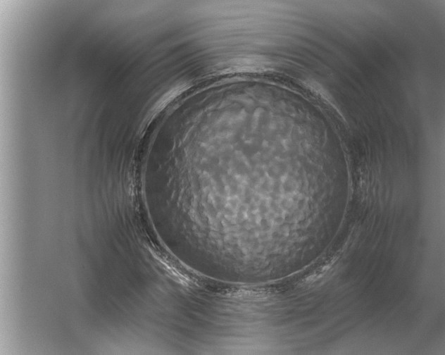 X0000062620874200512281527