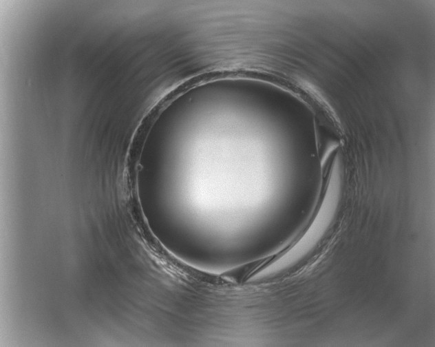 X0000062620876200512281527