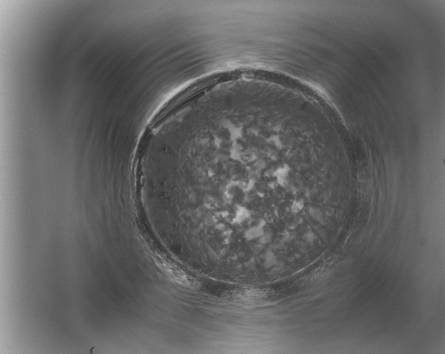 X0000062620879200512281527