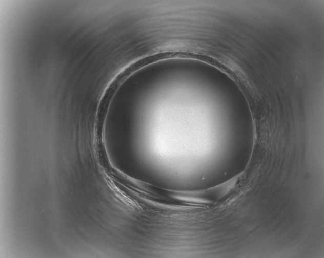 X0000062620880200512281526